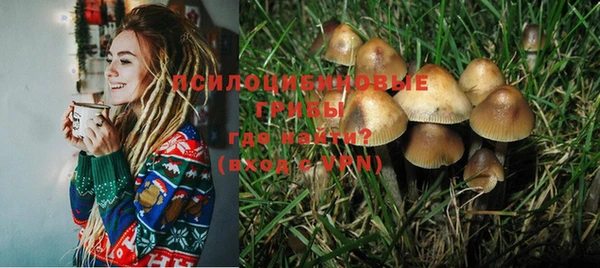 jwh Горняк