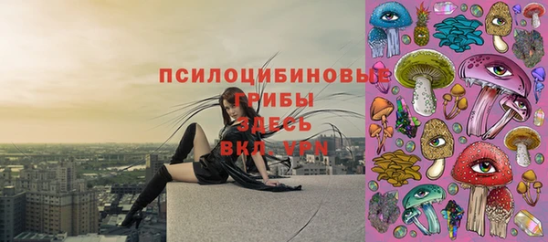 PSILOCYBIN Михайлов