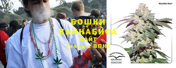 дмт Горно-Алтайск