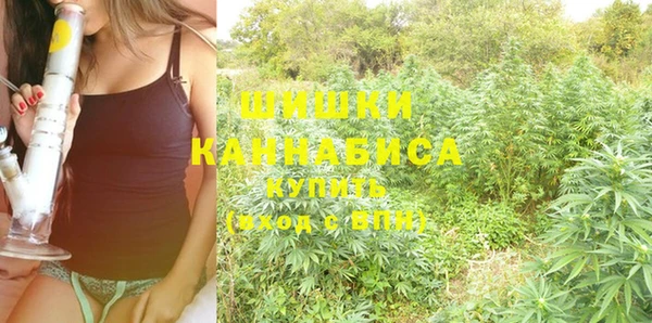 PSILOCYBIN Михайлов